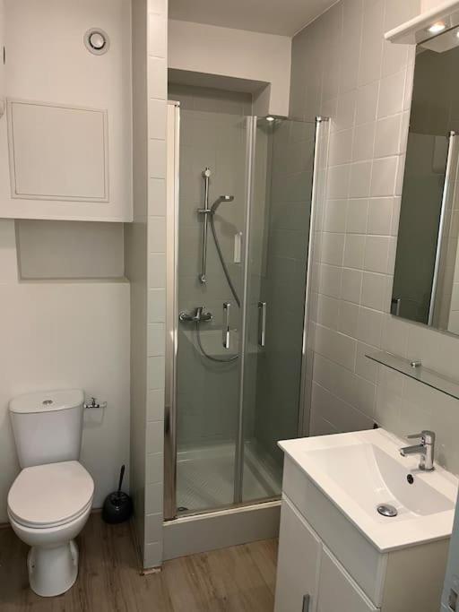 Apartament Gold, 500 M Du Centre De Valence Bourg-lès-Valence Zewnętrze zdjęcie